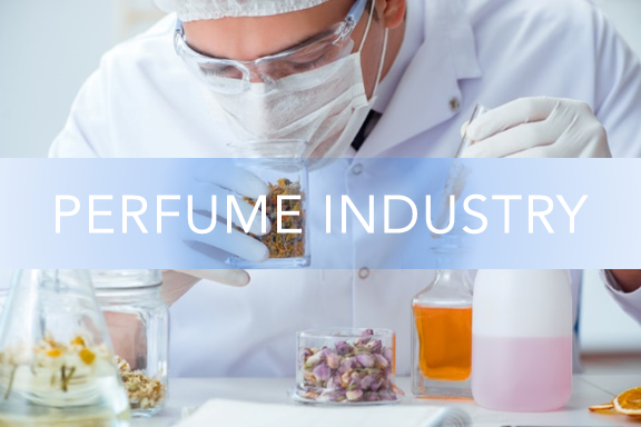 Perfume Industry